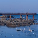 삼문초등학교 이미지