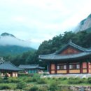 가야초교 이미지