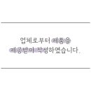리즈니플레르