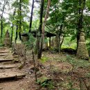 새낭골(위) 이미지