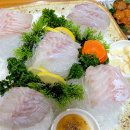 완도노화횟집 이미지