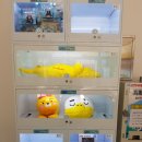 남악 뽑기 언니 이미지