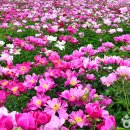 고흥종합관광안내소 이미지