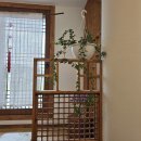 디저트칸 이미지