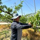 충주시농업기술센터 이미지