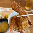 키즈 엔 팜 | 6월 여름 삿포로 비에이투어 후기 - 꿀팁, 예약, 준페이, 투어비스