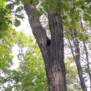 정발산파크골프장 이미지