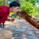 여장부(2농장) 이미지