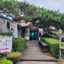 연꽃언덕 이미지