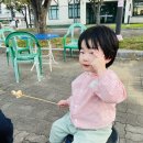 동락매점