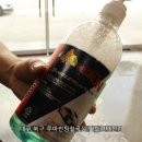 쉴드런 | 대구쉴드런 SM7 유리막 · 유리발수코팅 후기