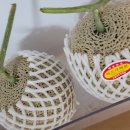 솔찬한의원 이미지