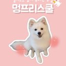 멍프리스쿨 이미지