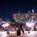 장미의거리11 이미지