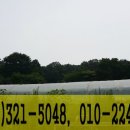 참나무골농장 이미지