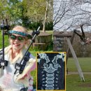 선어린이공원 이미지