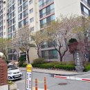 태전스타약국 네이버블로그