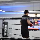 라인 다이어트 복싱 이미지