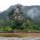 꼴두바우 이미지