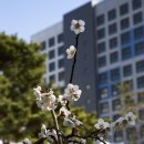 금호동주민센터 이미지
