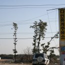 황토식당 이미지