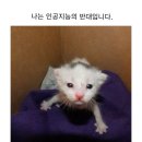 오이시 - 부천시 원미구 상일로122번길 43 | 오이시