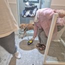 해담은동물병원 이미지