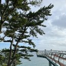 한바다약국 이미지