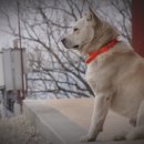 풍월농장 이미지