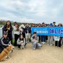 영진전문대학교 이미지