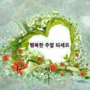 1월 19일(토) 된장과 막장 이미지