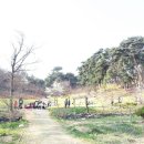 개나리목장 이미지