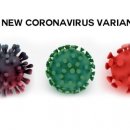 이레식품 이미지