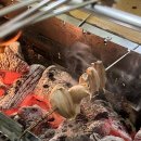 일차양꼬치 이미지