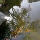 동심공원 농구장 이미지