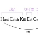 배부른고양이 이미지