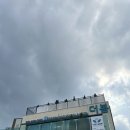 까페 더봄 | 양평 애견 카페 | 더봄 애견유치원&호텔&운동장 다녀온 후기