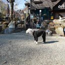 몽비쥬펜션 이미지