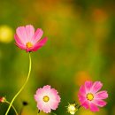 협신기업 - 남양주시 사릉로 642-16 | 협신기업