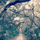 제일카센타 이미지