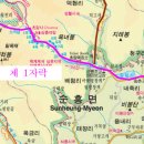 배순정려비 이미지
