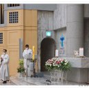 분당-289 이미지