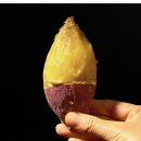 GS25 괘법공원점 | GS25 군고구마빠 트루나 칼로리 냉장 지에스 보관 가격 맛 후기 총정리