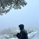 시냇물과 눈꽃세상 | 2월 말 광교산 형제봉 설산 후기, 예쁜 설산 가까이 있었다