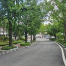 추계예술대학교 테니스장 네이버블로그