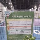 도안실내테니스장