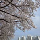 이삼칠(237)