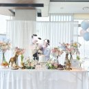 포인츠105 | 포포인츠 명동 소규모 돌잔치 앳써머 돌상 내돈내산 예약 후기