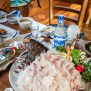 제주도 서귀포 횟집 제주 중문 대포동산 구문쟁이 식당