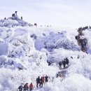 "이게 눈이야, 꽃이야!?"... 설경이 아름답기로 소문난 명소 5곳 이미지